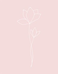 A template for a postcard with a delicate flower on a pink background, hand-drawn. A decorative element for a holiday, design, wedding. A flower on a thin stem with a bud for congratulations.