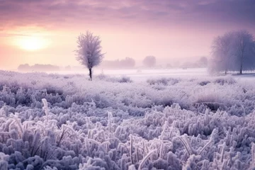 Gardinen A frosty morning scene with snow covering a field of creating a magical winter landscape © kardaska