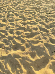 ripples in the sand