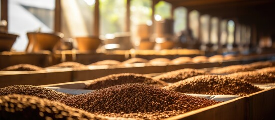Selective focus on high-quality coffee beans drying in natural sunlight on shelves at a coffee plant in a factory community north of Chiang Rai, Thailand. - obrazy, fototapety, plakaty