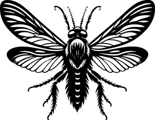 Owlfly Ascalaphidae icon 11