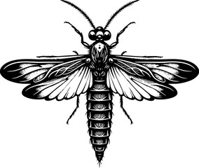 Owlfly Ascalaphidae icon 8