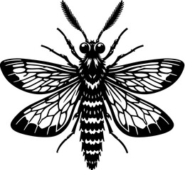 Owlfly Ascalaphidae icon 5