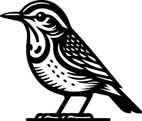 Ovenbird icon 15