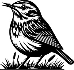 Ovenbird icon 5