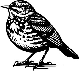 Ovenbird icon 3