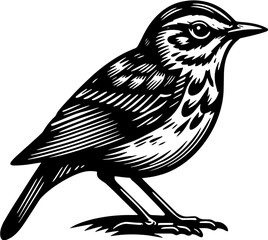 Ovenbird icon 2