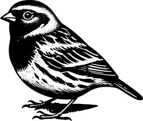 Ortolan Bunting icon 4