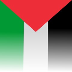 Palestine flag background, Palestine flag social media template banner design