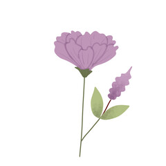 aesthetic flower on png transparant backgroumd