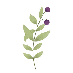 aesthetic flower on png transparant backgroumd