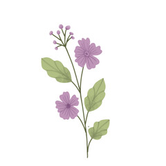 aesthetic flower on png transparant backgroumd