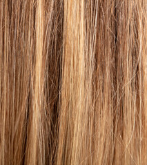 Highlighted women's hair as a background. Texture