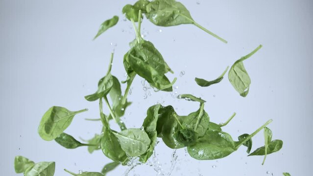 Spinach flying through the air slow motion 809fps