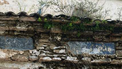 stone wall with moss