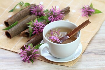 Cup of herbal tea from Monarda didyma flower head and leaves with cinnamon. Sweet smelling tea with bergamot aroma, often used as medicinal herb.