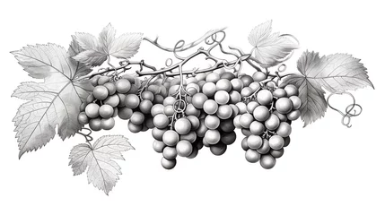 Fotobehang Handmade grapes berries. Leaves and branches.  © Petruk