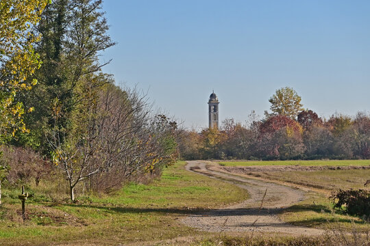 Autunno in Lombardia - Basiglio, Risaie nel Parco Agricolo Sud Milano