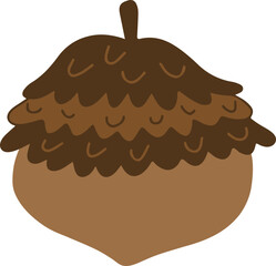 Handdrawn Acorn Illustration