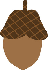 Handdrawn Acorn Illustration