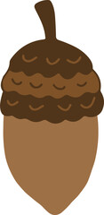 Handdrawn Acorn Illustration