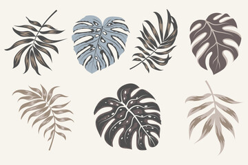 Fototapeta na wymiar Tropical leaves vector clipart. Exotic leaves, monstera and plants on a light background. Abstract tropical design, isolated elements. Vector illustrations.