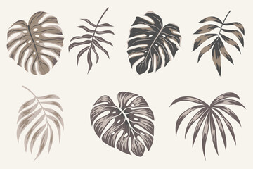 Fototapeta na wymiar Tropical leaves vector clipart. Exotic leaves, monstera and plants on a light background. Abstract tropical design, isolated elements. Vector illustrations.