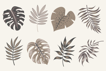 Tropical leaves vector clipart. Exotic leaves, monstera and plants on a light background. Abstract tropical design, isolated elements. Vector illustrations.