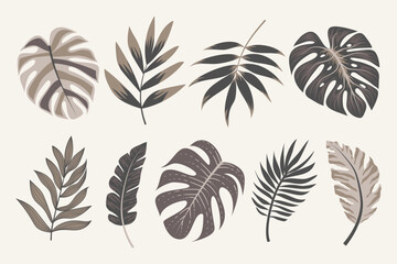 Tropical leaves vector clipart. Exotic leaves, monstera and plants on a light background. Abstract tropical design, isolated elements. Vector illustrations. - obrazy, fototapety, plakaty