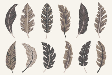 Tropical leaves vector clipart. Exotic leaves and plants on a light background. Abstract tropical design, isolated elements. Vector illustrations.