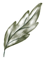 Obraz premium Green Leaf Watercolor Graphic Element