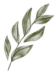 Green Leaf Watercolor Graphic Element