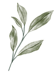 Obraz premium Green Leaf Watercolor Graphic Element