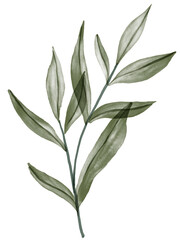 Green Leaf Watercolor Graphic Element