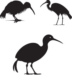 Set of Vector black silhouette of a kiwi bird isolated on a white background.