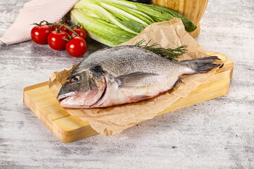 Raw dorada fish served rosemary