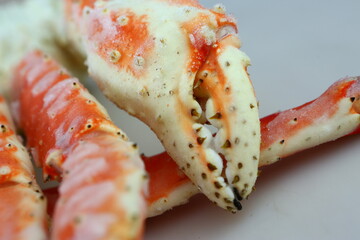 frosted Alaska king crab legs close up photo on white table background