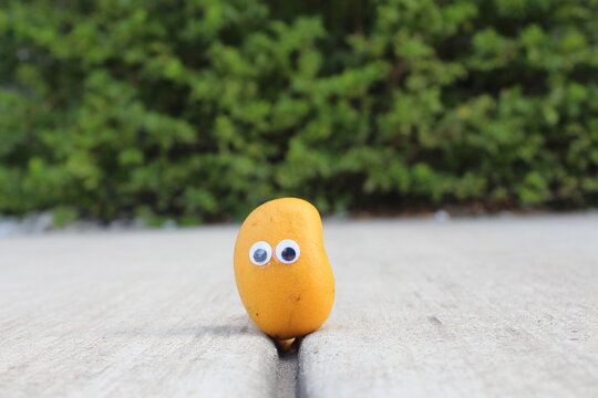 Baby mango