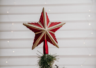 Star  © Izabela