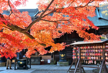 少林山達磨寺の霊符堂と紅葉