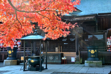 少林山達磨寺の霊符堂と紅葉
