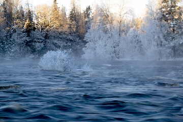 Obraz na płótnie Canvas River landscape with frost and snow. Farnebofjarden national park in north of Sweden.