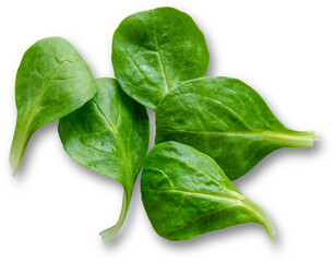 Spinach is a nutritious leafy, green vegetable that may benefit skin, hair, and bone health. - obrazy, fototapety, plakaty