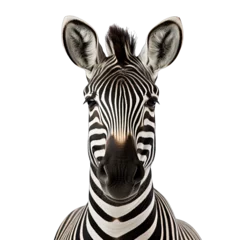 Tuinposter Zebra photograph isolated on white background © Herlita