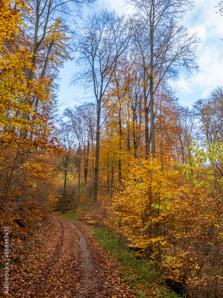 Canvas Prints Herbst