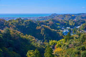 秋の鎌倉市の天園ハイキングコースにある勝上献展望台から南西側眺望(源氏山,相模湾など)
