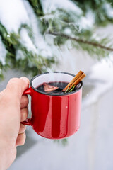 Mulled wine cup in hands in the forest. Winter hot drinks with aromatic spices of cinnamon,...