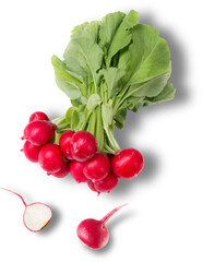 Radishes or Raphanus sativus are a root vegetable from the Brassicaceae mustard family.