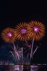 fireworks over the river