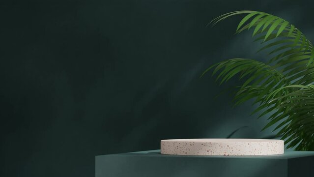 3d footage render blank space of red terrazzo podium seamless shadow animation looping with green aracea palm and blue wall
